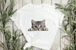 Peeking American Shorthair Cat Sublimation Clipart Product Image 2