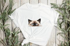 Peeking Birman Cat Sublimation Clipart Product Image 2