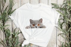 Peeking British Shorthair Cat Sublimation Clipart Product Image 2