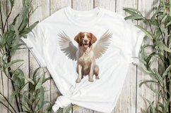 Angel Brittany Dog Sublimation Clipart Product Image 2