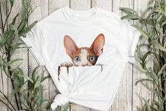 Peeking Cornish Rex Cat Sublimation Clipart Product Image 2