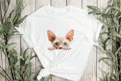 Peeking Devon Rex Cat Sublimation Clipart Product Image 2