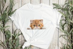 Peeking Exotic Shorthair Cat Sublimation Clipart Product Image 2