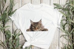 Peeking Maine Coon Cat Sublimation Clipart Product Image 2
