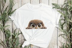 Peeking Owl Sublimation Clipart Product Image 2
