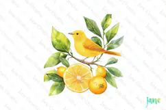 Watercolor Lemon Bird Clipart PNG File Product Image 1