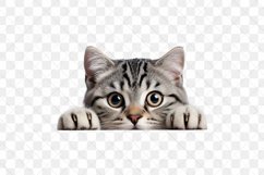 Peeking American Shorthair Cat Sublimation Clipart Product Image 3