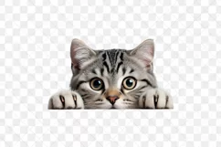 Peeking American Shorthair Cat Sublimation Clipart Product Image 3