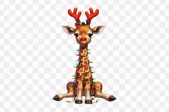 Animals Nose Red Sublimation Clipart Product Image 3