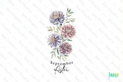 September - Watercolor Aster Birth Month Flower Clipart Product Image 1