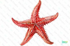 Beach Clipart Sublimation Product Image 1