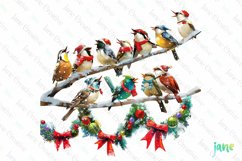 Birds In Holiday Christmas Sublimation Product Image 1