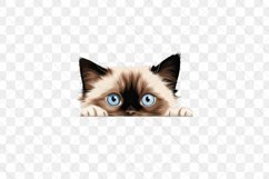 Peeking Birman Cat Sublimation Clipart Product Image 3