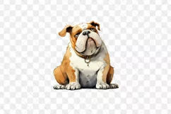 Bulldog In Children's Book Sublimation Clipart Product Image 3