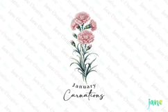 January - Watercolor Carnations Birth Month Flower Clipart Product Image 1