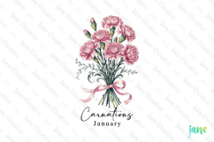 January - Watercolor Carnations Birth Month Flower Clipart Product Image 1