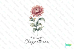 November - Watercolor Chrysanthemum Birth Month Flower PNG Product Image 1
