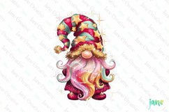 Chubby Gnome Characters Sublimation Product Image 1