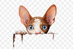 Peeking Cornish Rex Cat Sublimation Clipart Product Image 3
