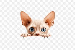 Peeking Devon Rex Cat Sublimation Clipart Product Image 3
