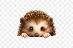 Peeking Hedgehog Sublimation Clipart Product Image 3