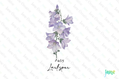 July - Watercolor Larkspur Birth Month Flower Clipart Product Image 1