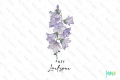 July - Watercolor Larkspur Birth Month Flower Clipart Product Image 1