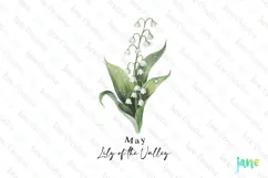 May - Watercolor Lily of the Valley Birth Month Flower Clipa Product Image 1