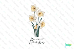 December - Watercolor Narcissus Birth Month Flower Clipart Product Image 1