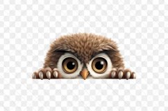 Peeking Owl Sublimation Clipart Product Image 3