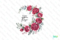 June - Watercolor Rose Birth Month Flower Clipart Product Image 1