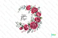 June - Watercolor Rose Birth Month Flower Clipart Product Image 1