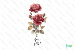 June - Watercolor Rose Birth Month Flower Clipart Product Image 1
