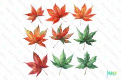 Watercolor Autumn Clipart Sublimation Product Image 1