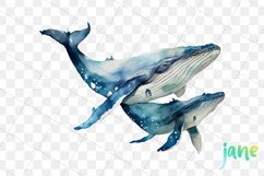 Humpback Whales With Baby Watercolor Sublimation Clipart Product Image 3