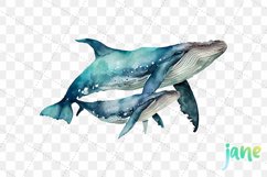 Humpback Whales With Baby Watercolor Sublimation Clipart Product Image 5