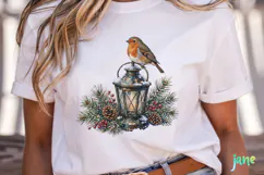 Vintage Winter Bird Clipart Product Image 2