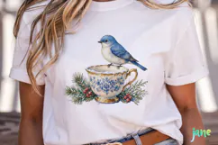 Vintage Winter Bird Clipart Product Image 2