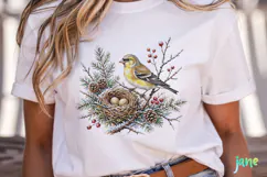 Vintage Winter Bird Clipart Product Image 2