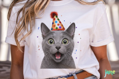 Surprise Birthday Cat PNG Clipart Product Image 2