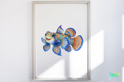 Cute Ocean Animal PNG Product Image 4