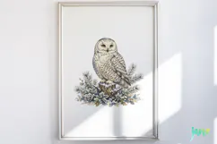 Vintage Winter Bird Clipart Product Image 4