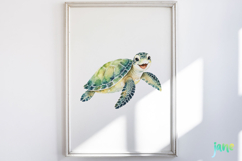 Cute Ocean Animal PNG Product Image 4