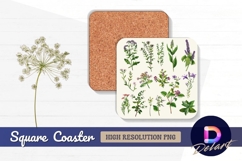 Vintage botanical illustration diverse Square Coaster PNG Product Image 1