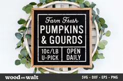 Farm Fresh Pumpkins & Gourds SVG | Fall Sign SVG Product Image 1