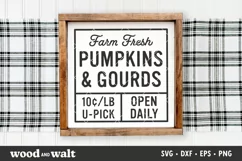 Farm Fresh Pumpkins & Gourds SVG | Fall Sign SVG Product Image 2