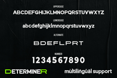 Determiner Product Image 9