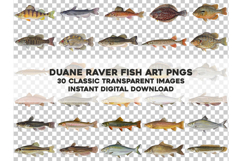 30 American Game Fish Transparent PNGs Bundle Duane Raver Product Image 2
