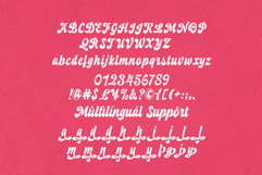Duckin Funky Retro Script Product Image 9