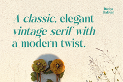 Dudga Baloval - Elegant Serif Font Product Image 4